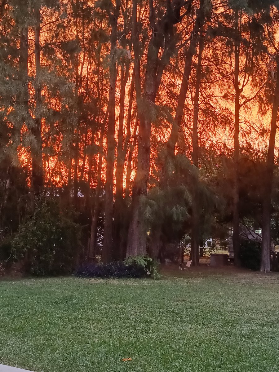 jec🎗️ tweet media