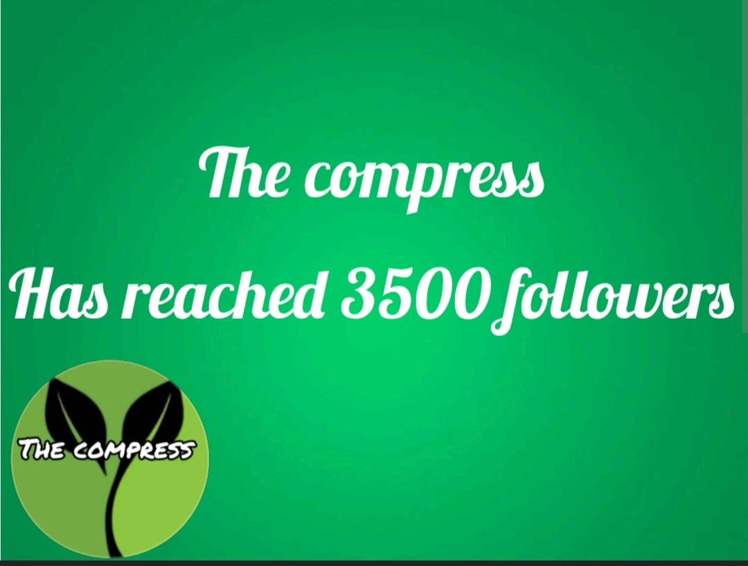 TheCompressNi tweet media