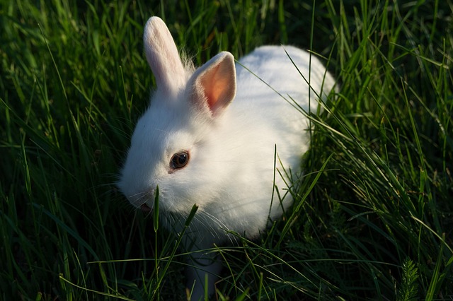 Joyce Jenkins tweet media