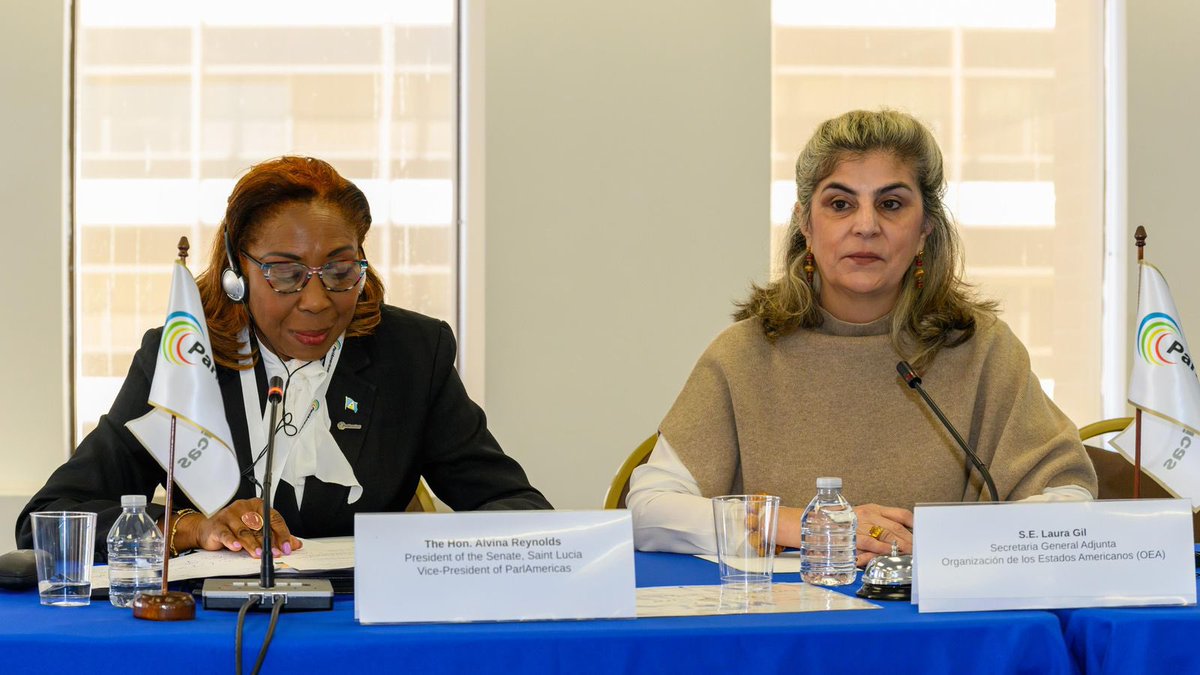 La Secretaria General Adjunta de la OEA_oficial, Laura Gil, participó en una sesión de diálogo con la delegación parlamentaria anual de <a href="/ParlAmericas/">ParlAmericas</a> en Washington, D.C.
Durante el encuentro, destacó que la sociedad civil es un pilar fundamental para la renovación democrática y