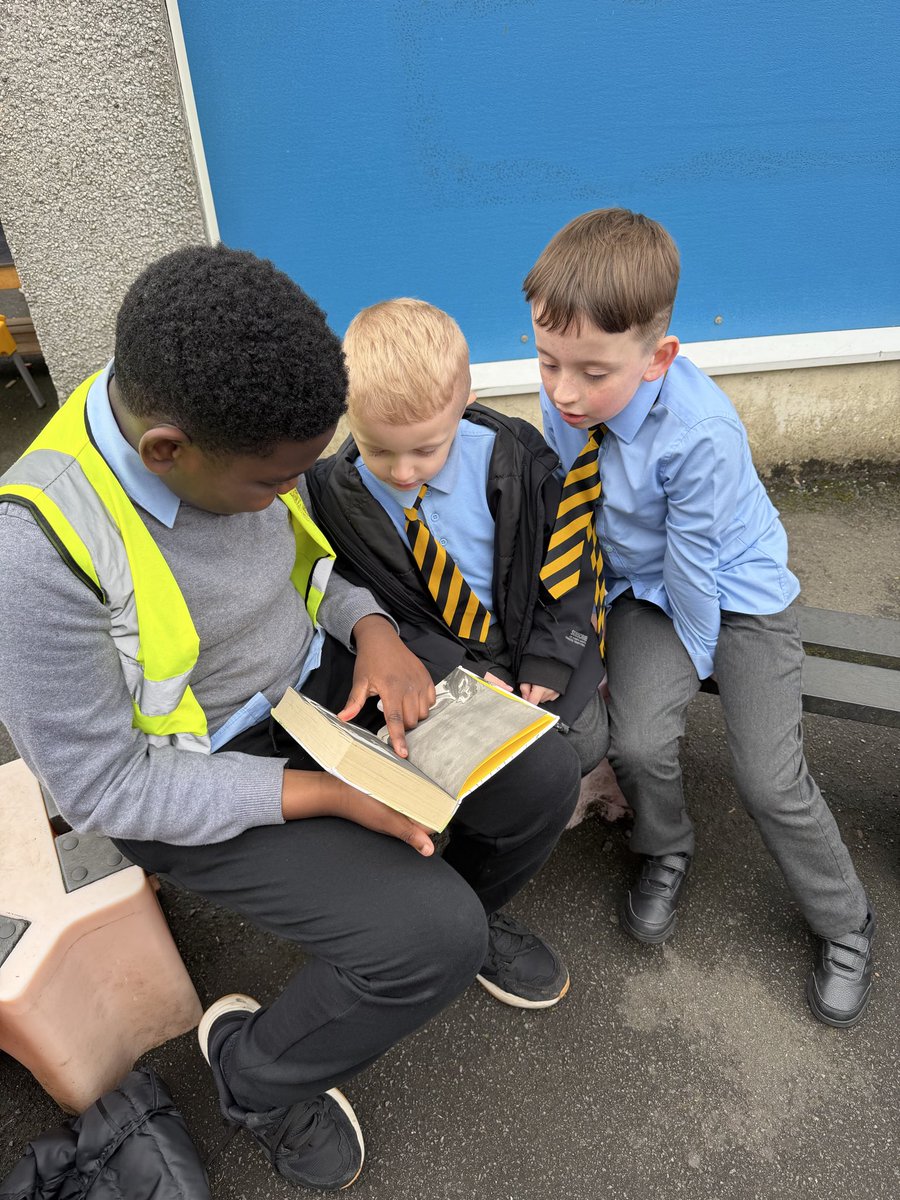 St Mary's Primary & Nursery 💛🖤 tweet media