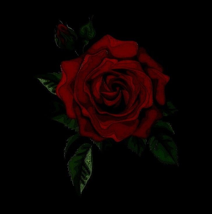 𝐌𝐚𝐫𝐲 𝐉𝐚𝐧𝐞 '𝐌𝐉' 𝐖𝐚𝐭𝐬𝐨𝐧 tweet media