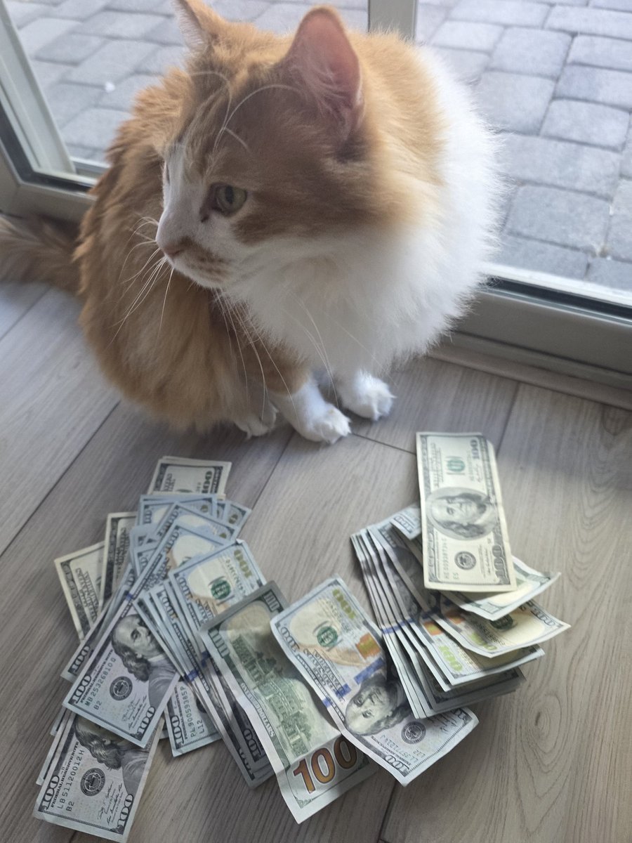 ☀️✨𝓐𝓼𝓽𝓮𝓻𝓲𝓪 𝓙𝓪𝓭𝓮✨🌙 tweet media