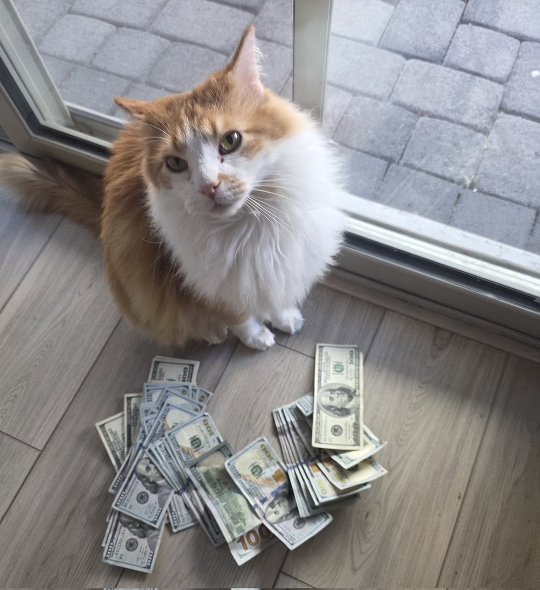 ☀️✨𝓐𝓼𝓽𝓮𝓻𝓲𝓪 𝓙𝓪𝓭𝓮✨🌙 tweet media