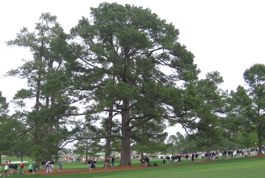 John Shewchuk🇨🇦🇺🇦 tweet media