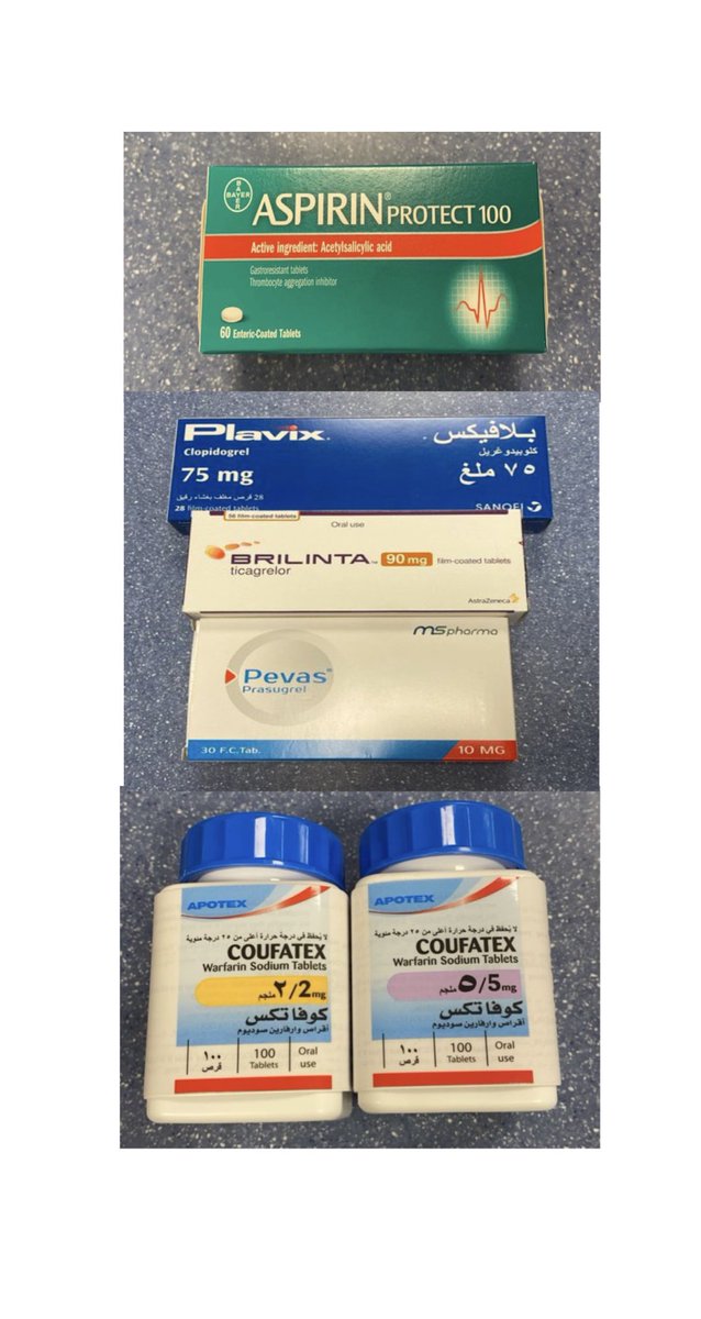 Fatimah Alshehri🇸🇦 tweet media