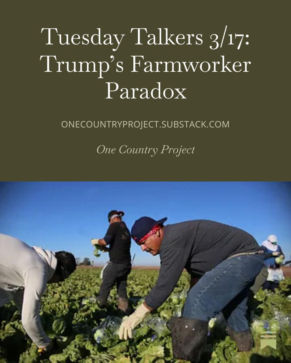 One Country Project tweet media