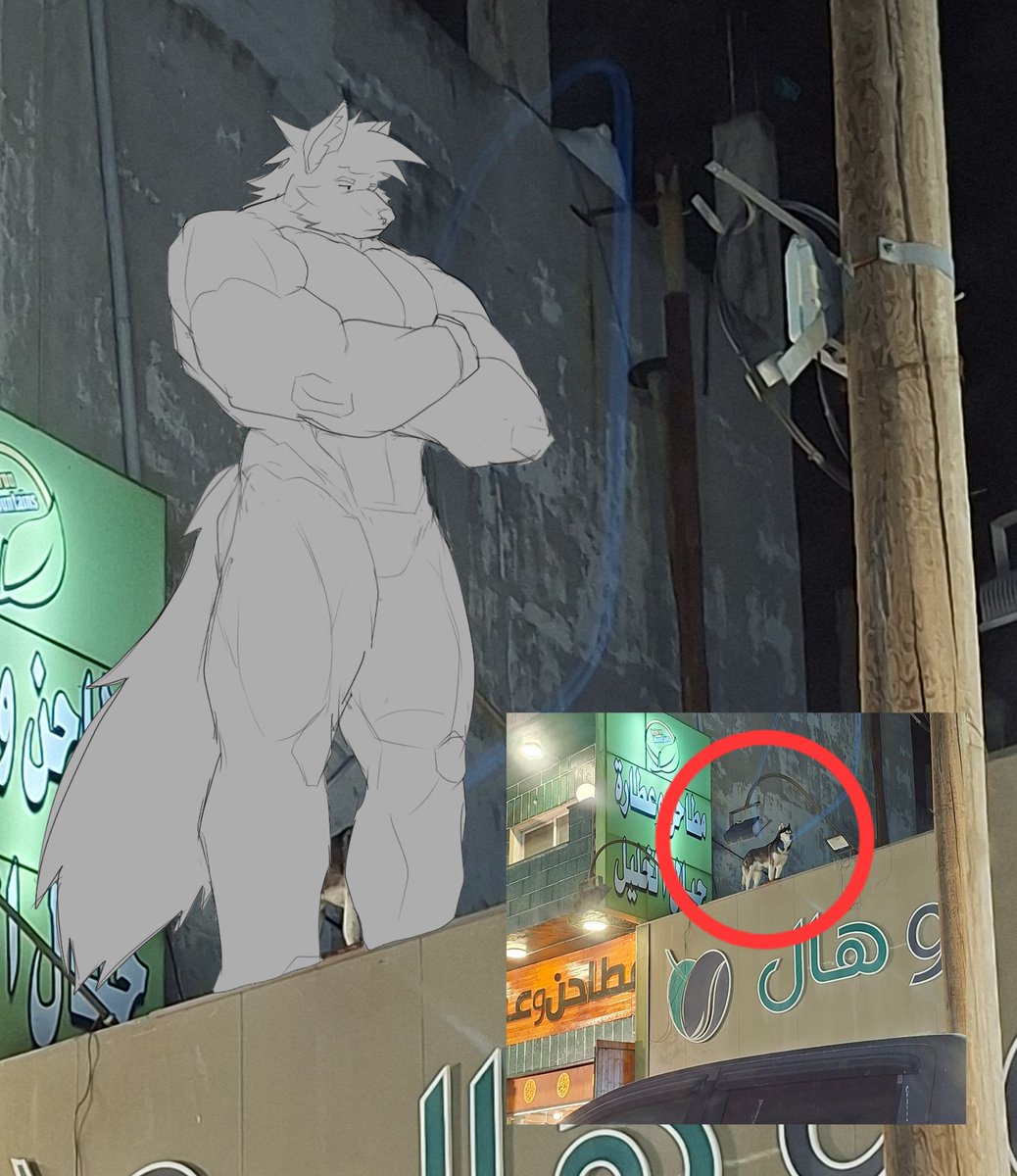 john wolf/COMMS OPEN tweet media