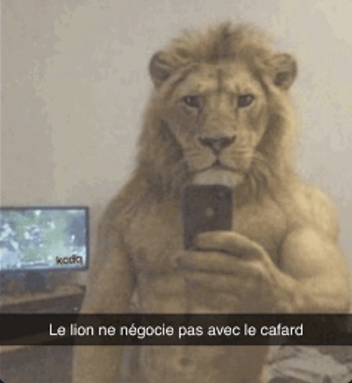 ︎3arbi tweet media