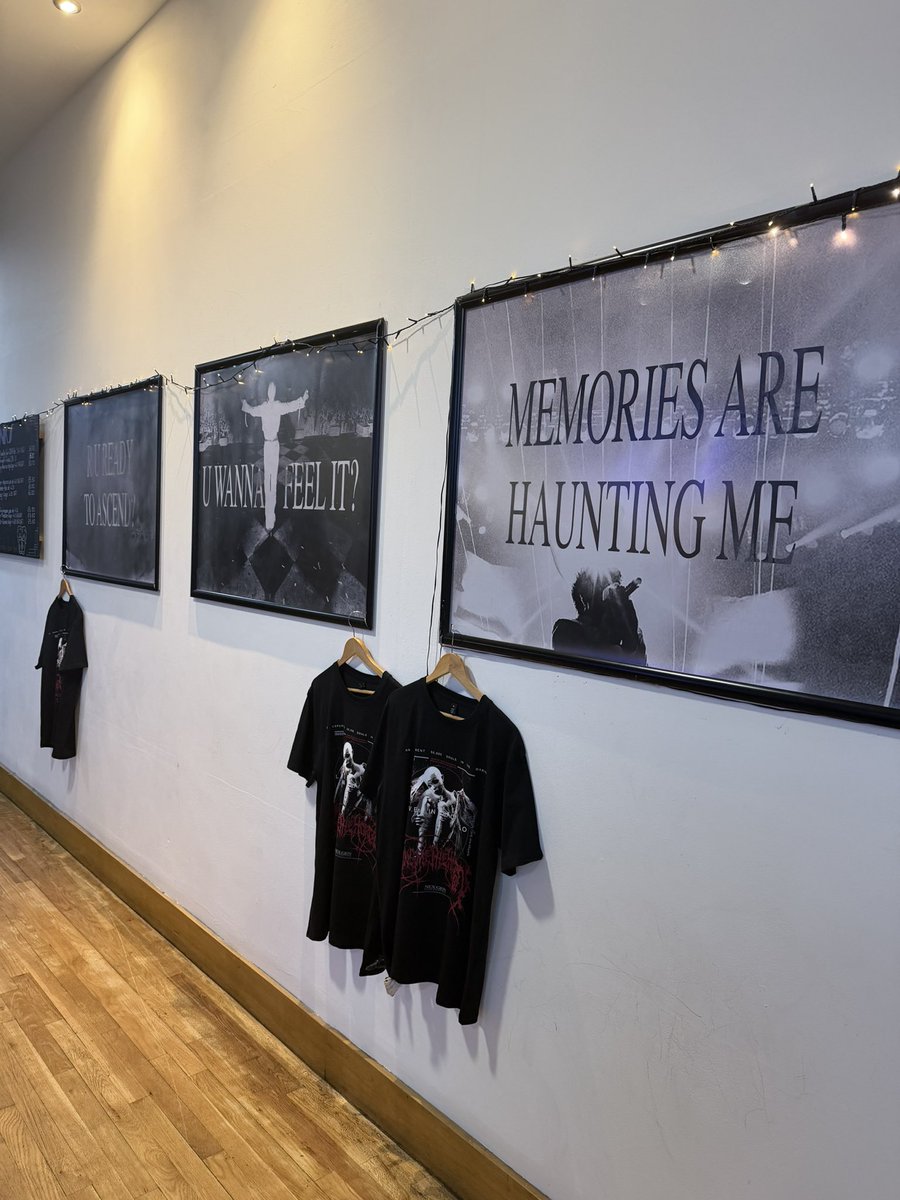 rae 🦋 tweet media