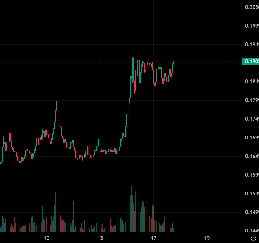 Enguin 🐧 tweet media