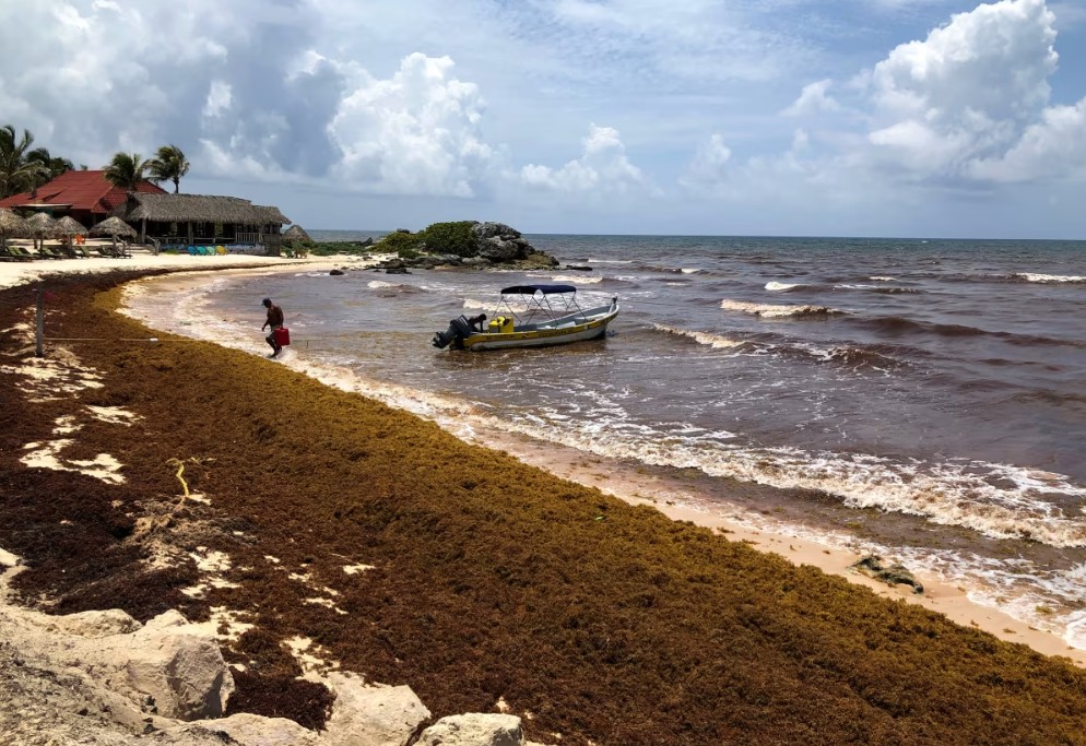 Paolo M. Tajani tweet media