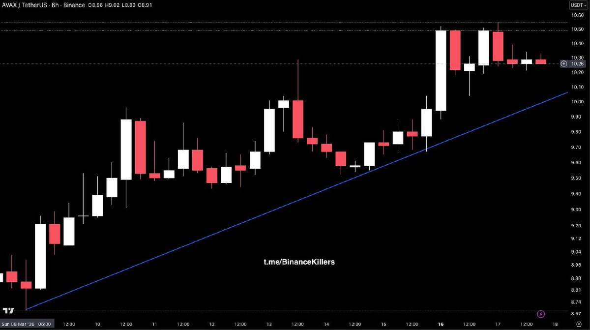 Nehneh1's tweet photo. VIP MARKET UPDATE: $AVAX
➖➖➖➖➖➖➖
$AVAX is still holding a clean bullish structure here, with price respecting the rising trendline and consolidating just under the 10.26 area after the recent expansion. That kind of pause is constructive.. https://t.co/WCCvD54KJl