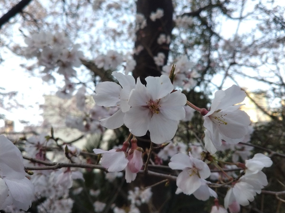 ちかこ tweet media