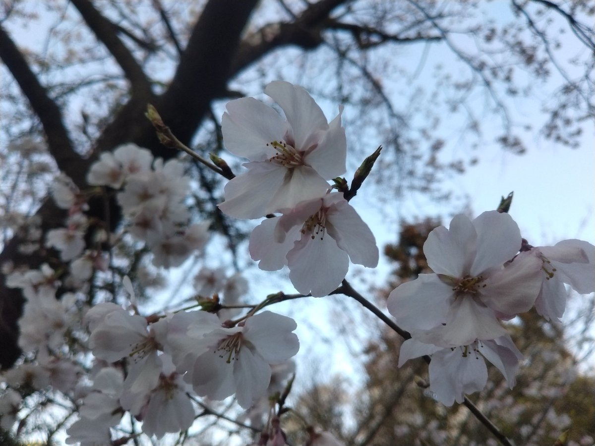 ちかこ tweet media