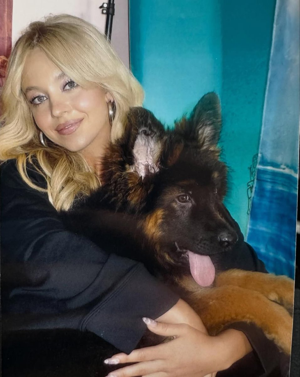 Bring your pup on set day.