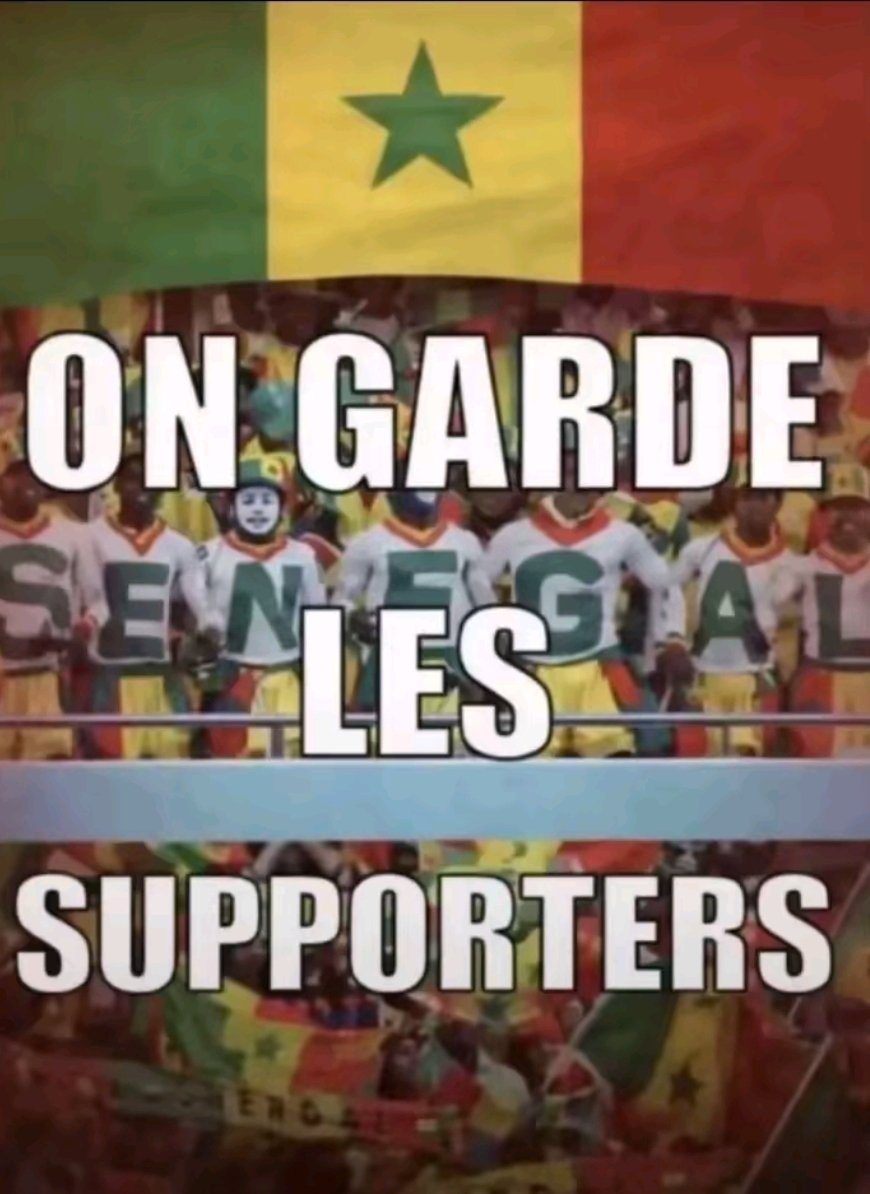 Samira 🇲🇦🌟🌟🦁 tweet media