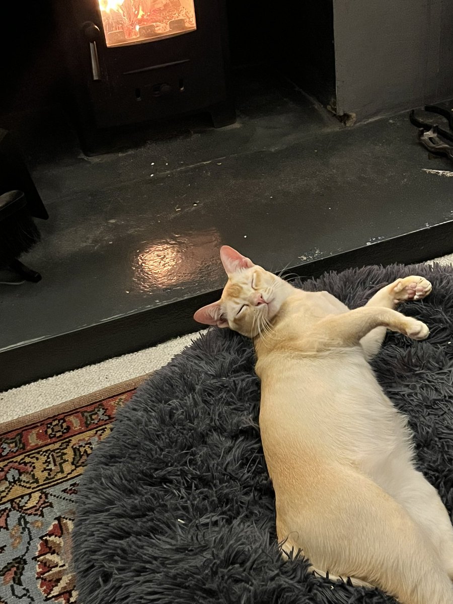 Alex Maclean tweet media