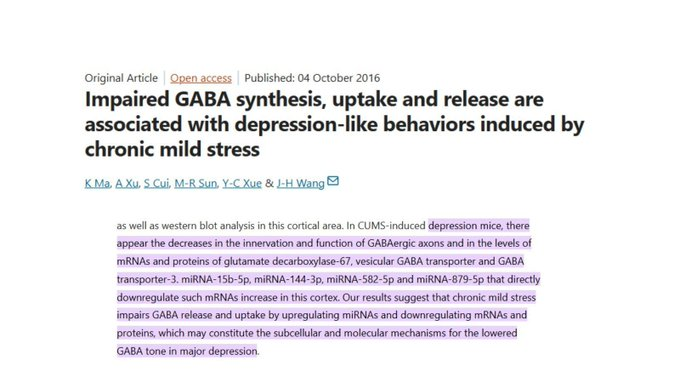 Sosa | Mental Strategist tweet media