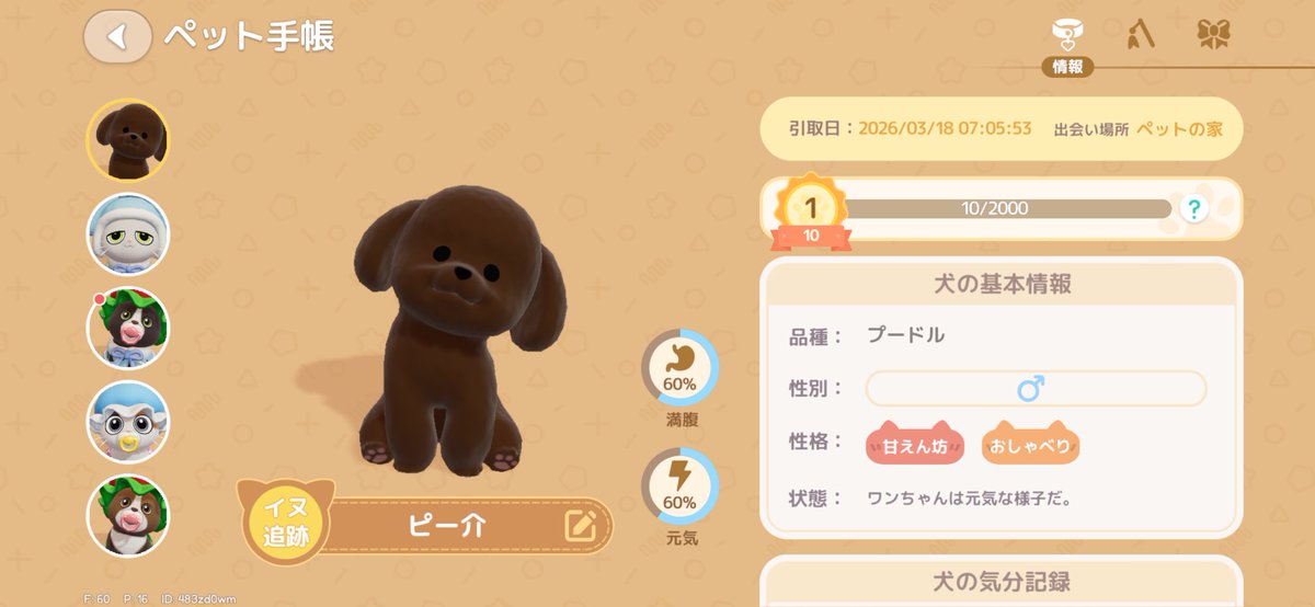 やっとプードルきたー🐶
今日からよろしくね
#ハートピアスローライフ