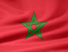 Highlander ‘📟🌐’ tweet media