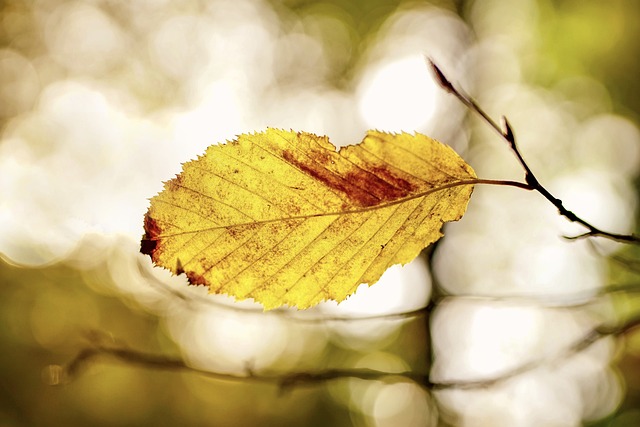 Skee Watts tweet media