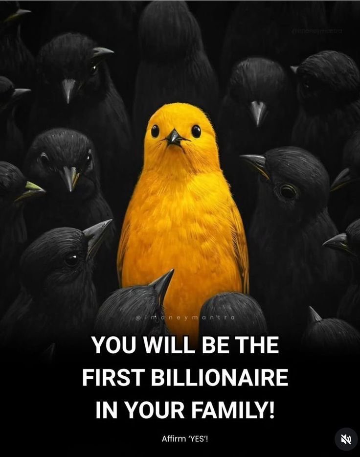 ProgressCode🌺 tweet media