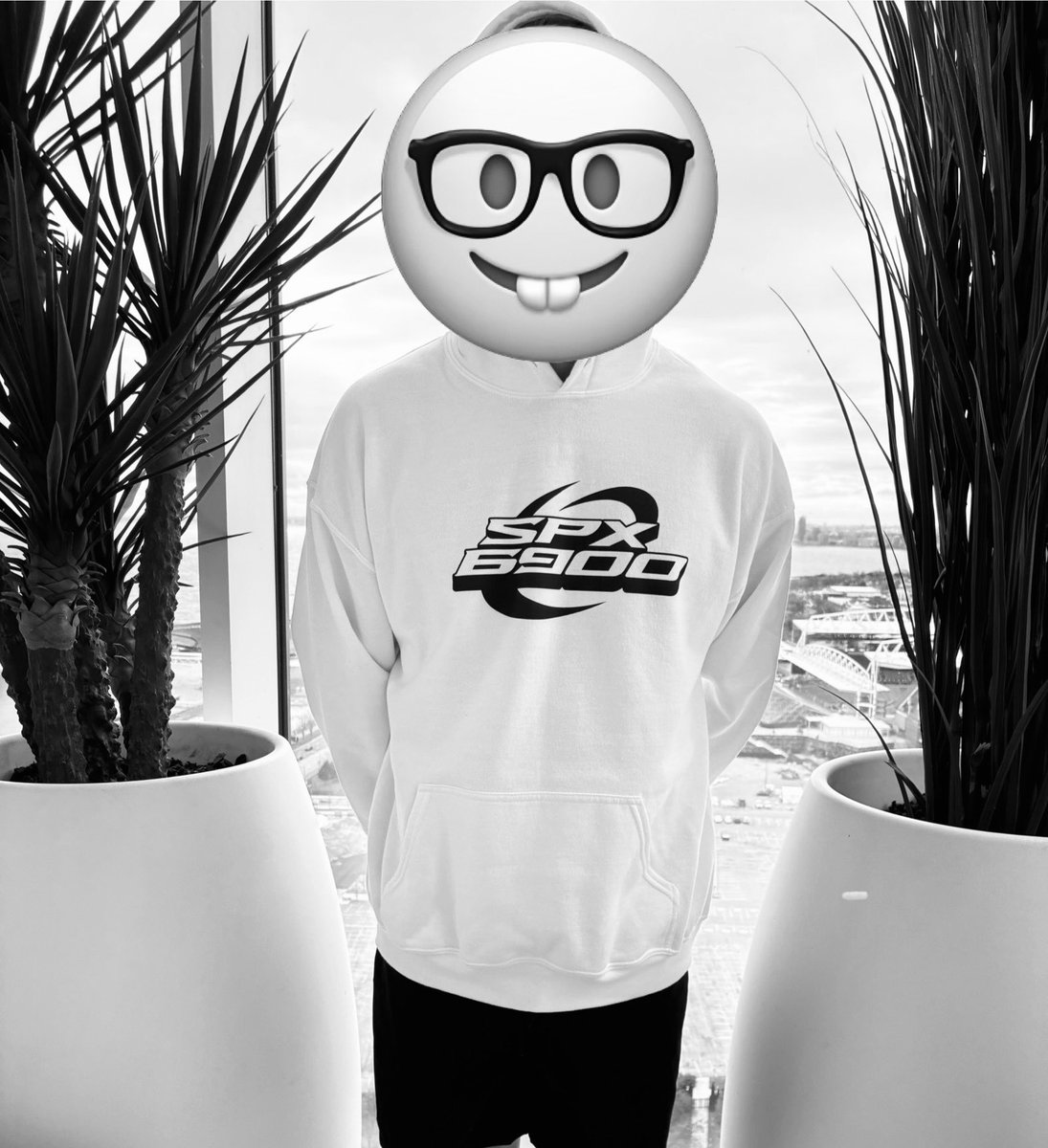 positivepaully's tweet image. #NERD #FOR #SPX6900