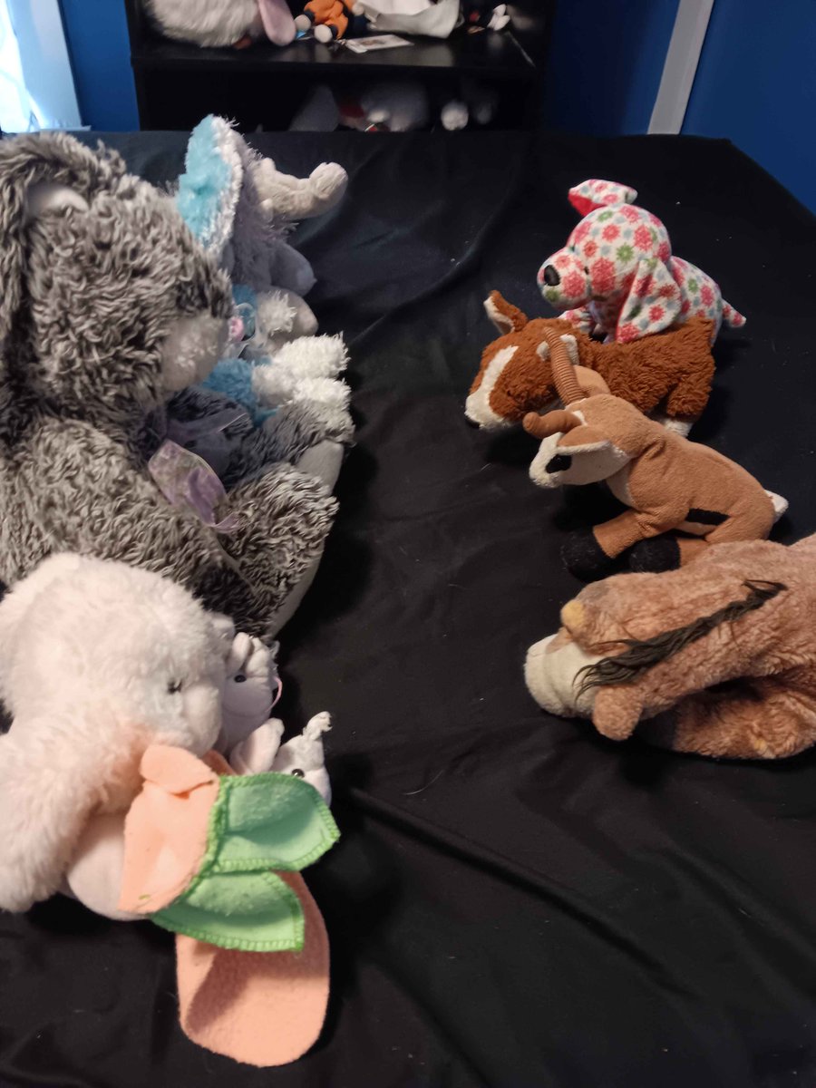 Kage Wolf 🔜LVFC2026 tweet media