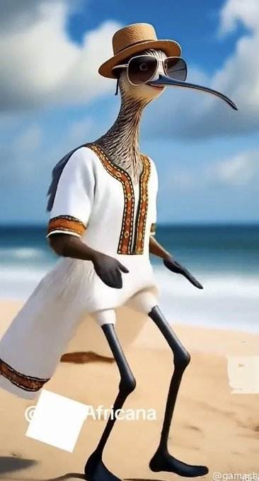 Rising Ethiopia tweet media