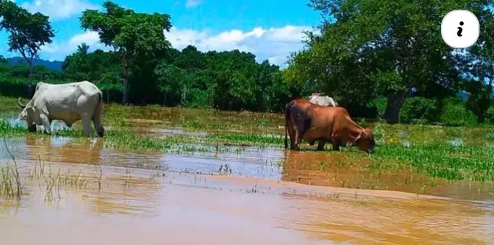 POPAYAN PASION GANADERA tweet media