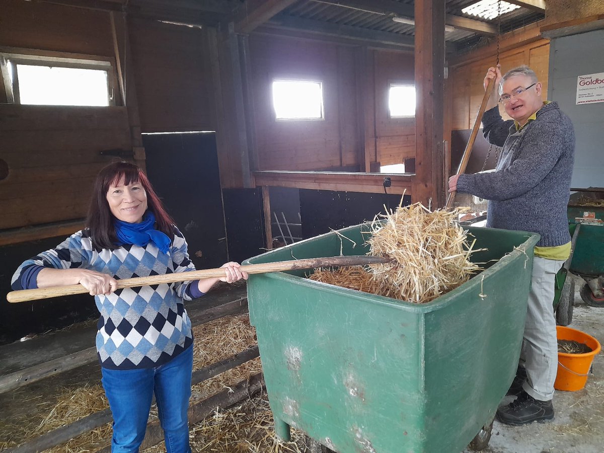 Centro Educación Adultos Infante, centro Erasmus+ tweet media