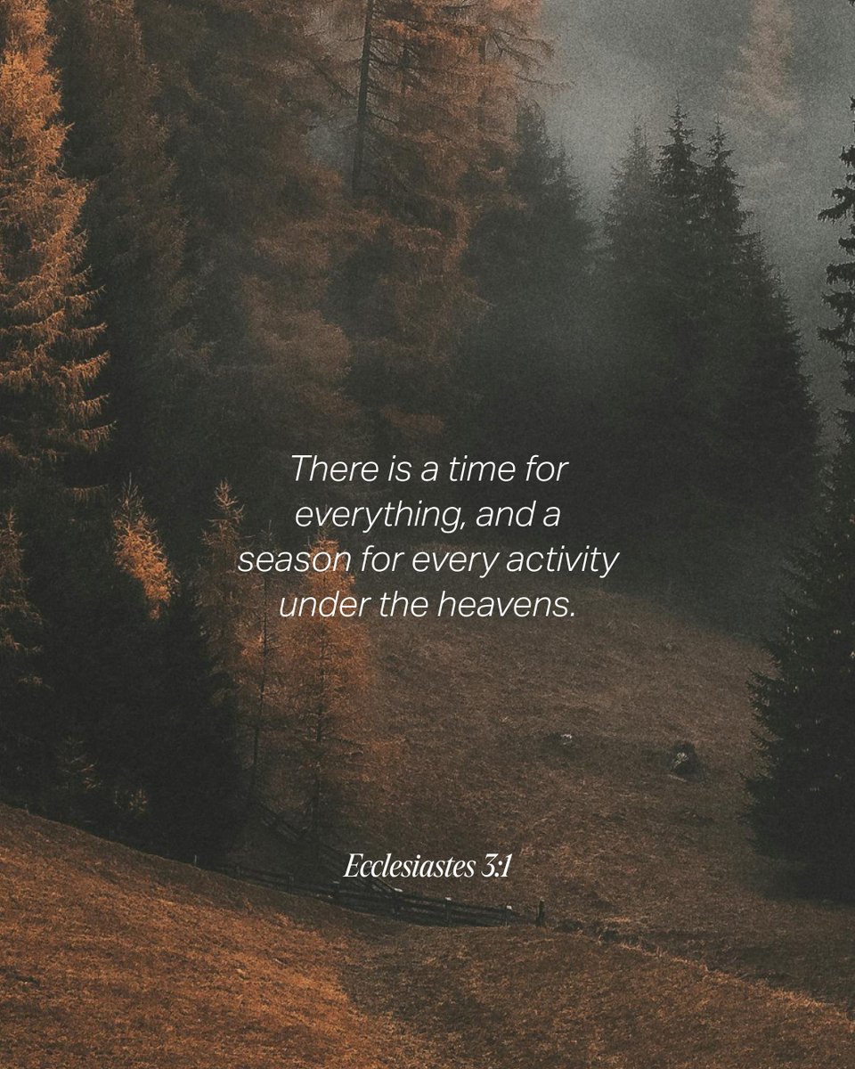 YouVersion Bible App tweet media