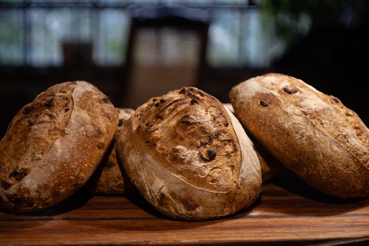 Javier de la Cuadra tweet media