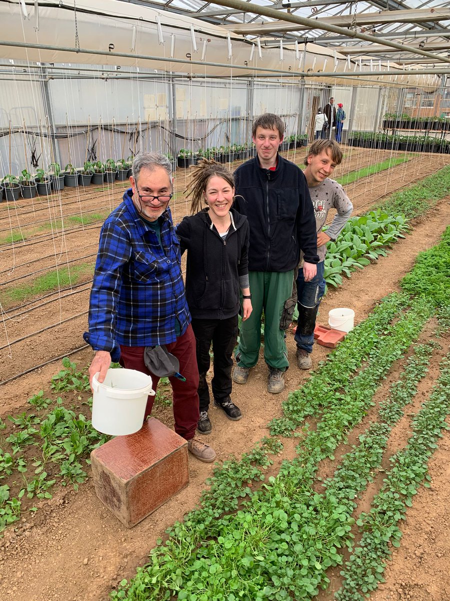 Centro Educación Adultos Infante, centro Erasmus+ tweet media