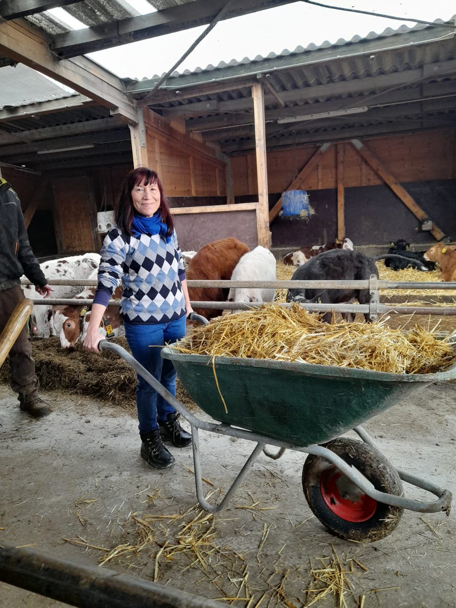 Centro Educación Adultos Infante, centro Erasmus+ tweet media