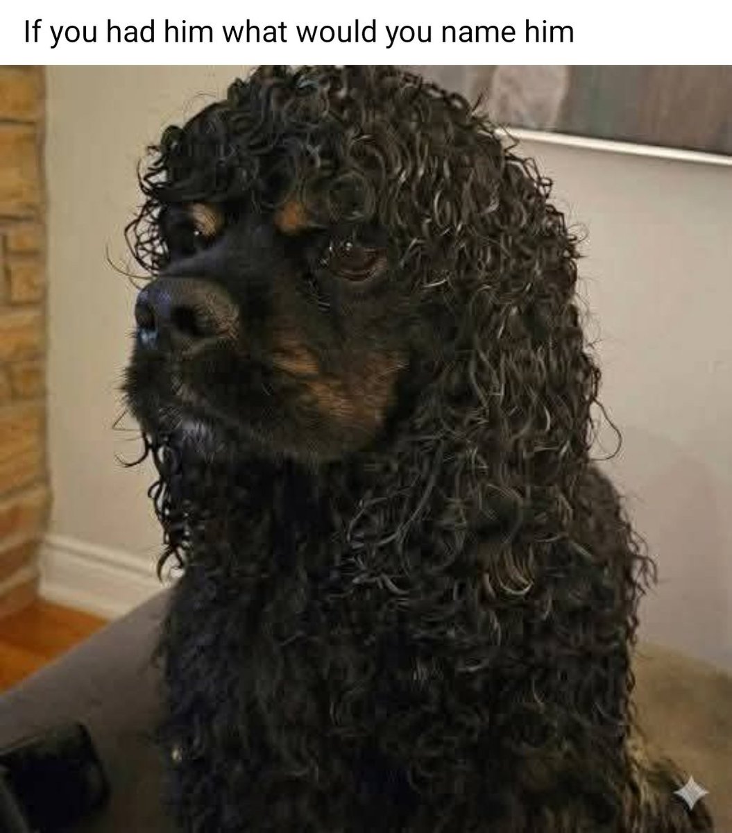 Lora (KSU Mom🌾💜) tweet media