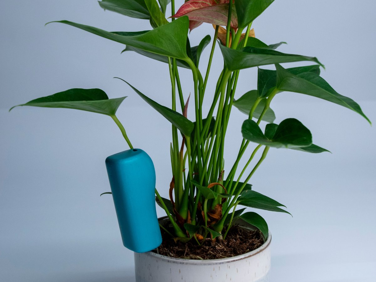 Hyperstarter tweet media