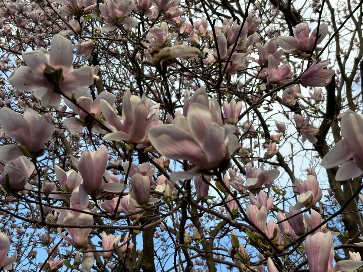 Kristi K. Higgins 🦋 tweet media