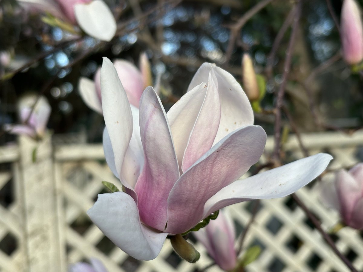 Kristi K. Higgins 🦋 tweet media