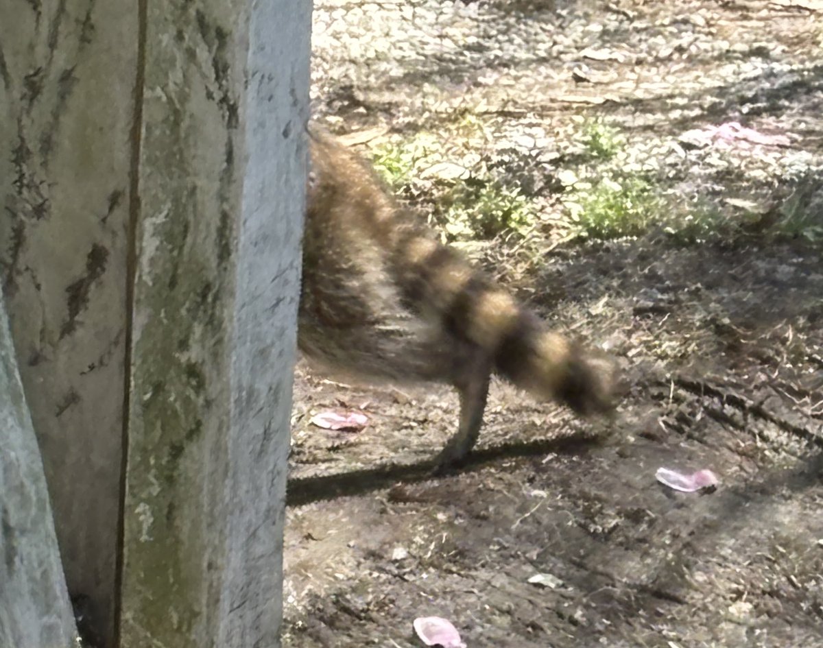 Kristi K. Higgins 🦋 tweet media