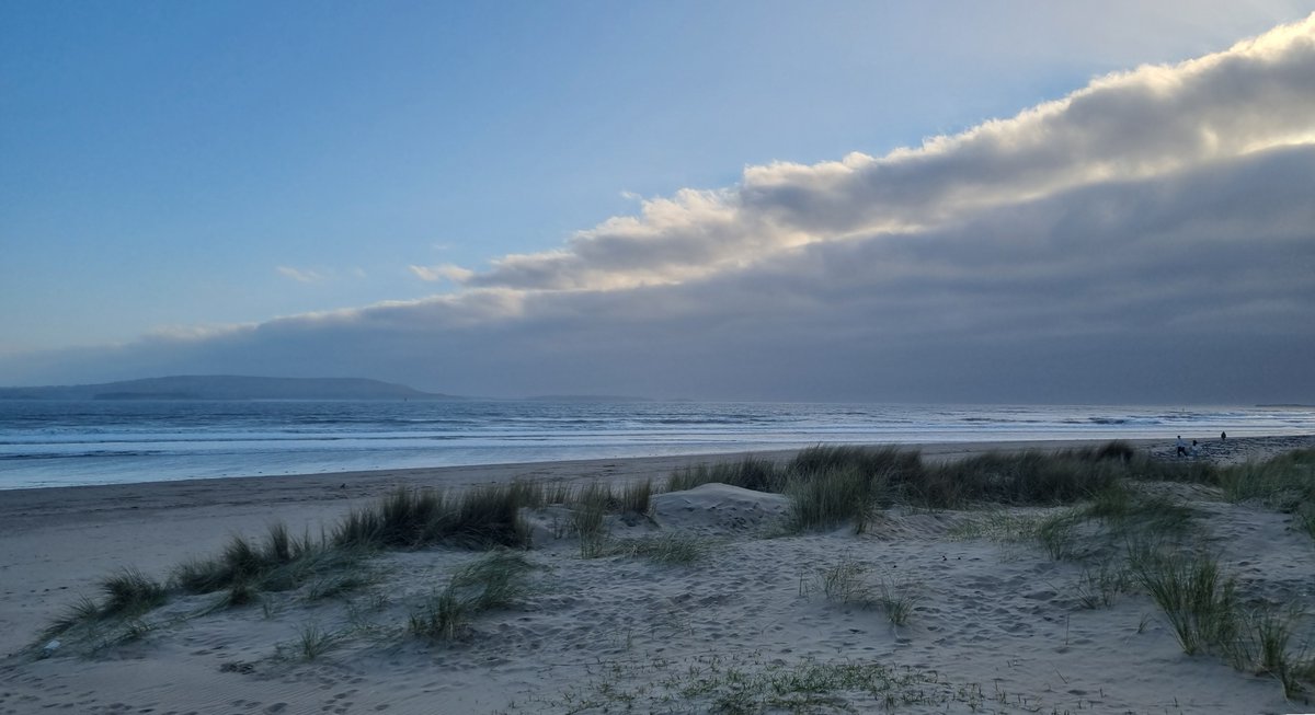 Duncan Willis tweet media