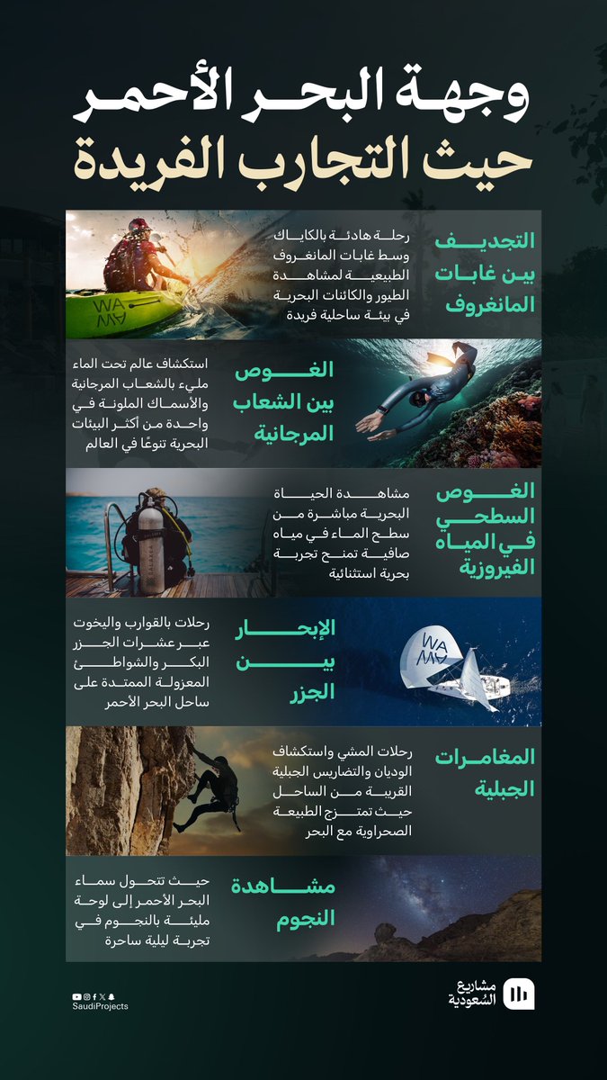 من التجديف بين غابات المانغروف إلى الغوص في الشعاب المرجانية ومشاهدة النجوم على الشاطئ، تقدم وجهة البحر الأحمر مجموعة من التجارب التي تجمع بين المغامرة والطبيعة والضيافة الفاخرة