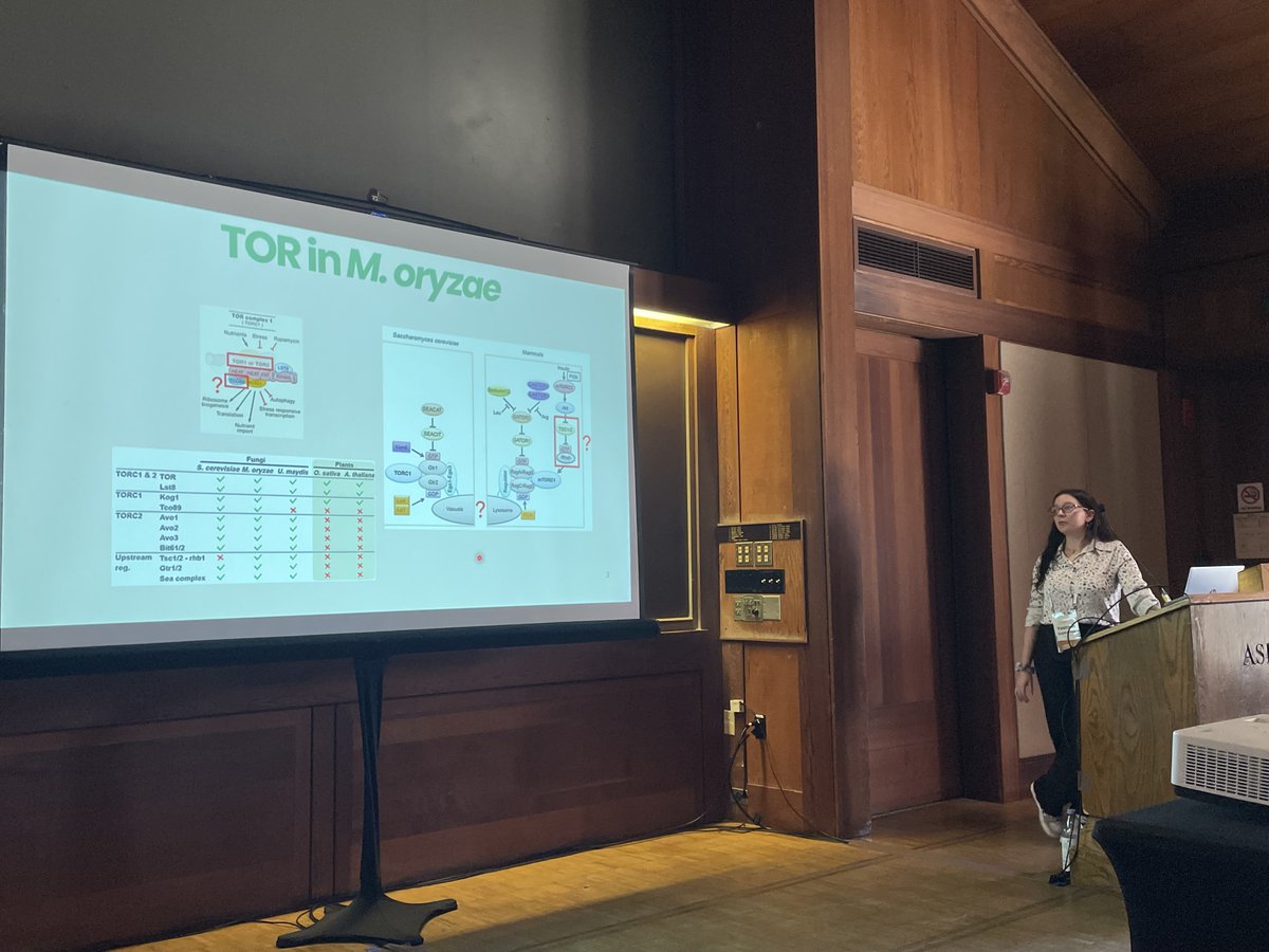 Nick Talbot tweet media