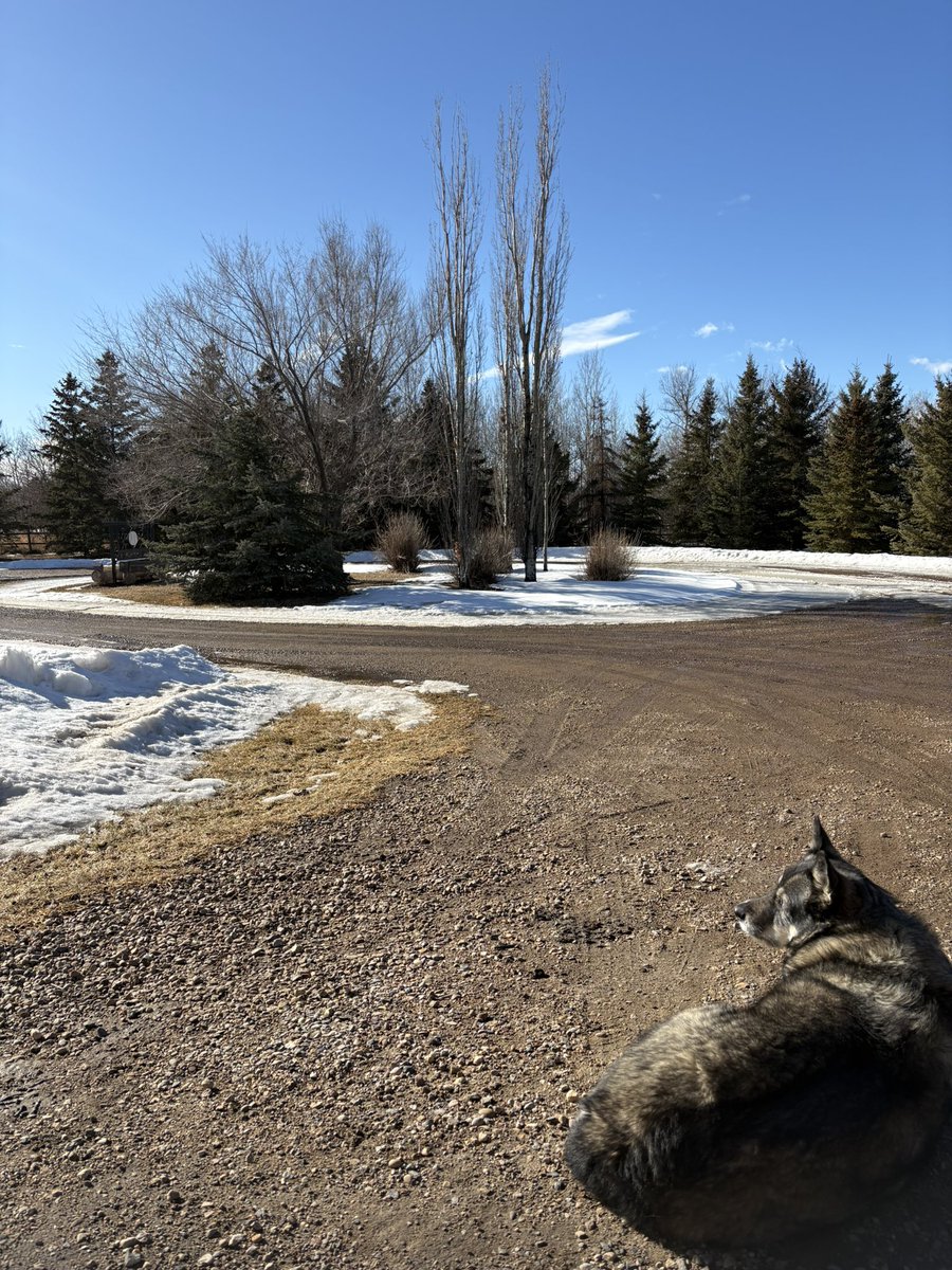 Michelle Mulgrove tweet media