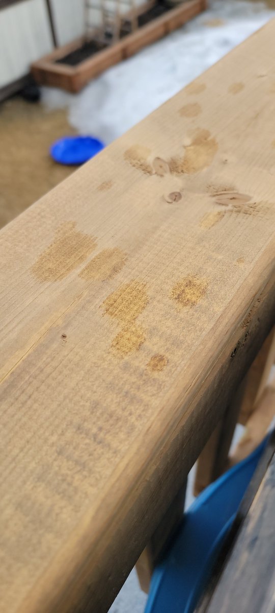 Maverick Storm Hunters tweet media