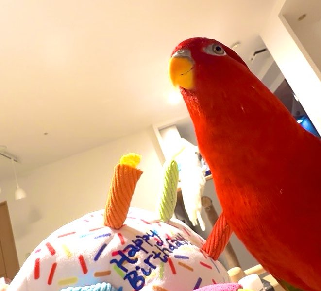 Hideaki Utsumi tweet media