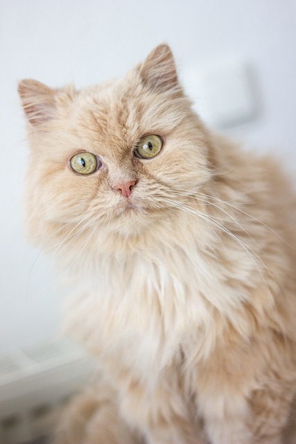 Anastasia Torbica tweet media