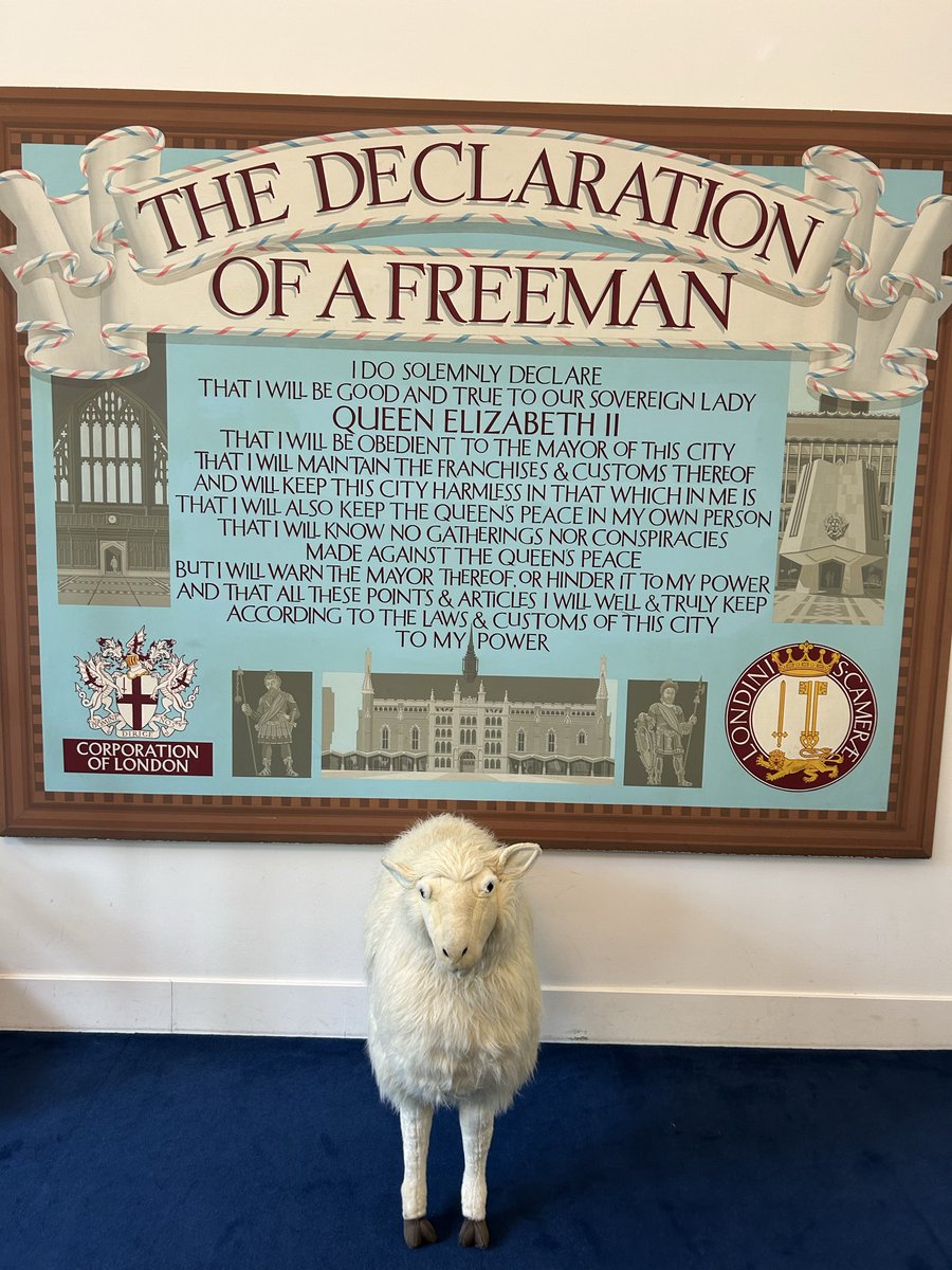 Edward Gillin tweet media