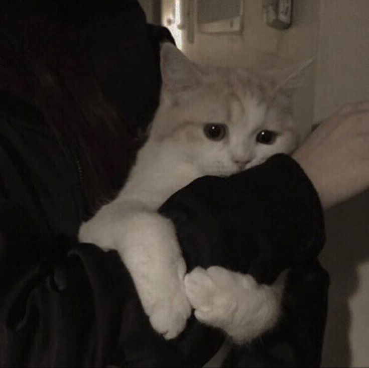fwcatty7's tweet photo. 🥺 https://t.co/VeB2j2QKCc